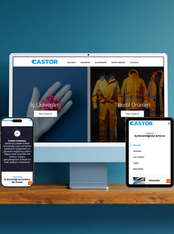 Castor Safety